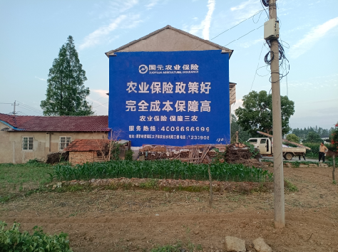 镇宁墙体广告为何受追捧?