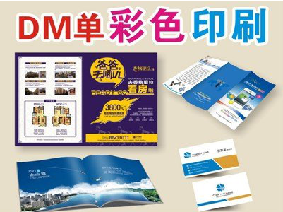 镇宁单页印刷，色彩搭配简单。
